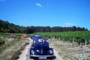 Bourgogne Rallye dans le vignoble