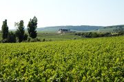 Bourgogne vignoble autour du Clos de Vougeot couverture région