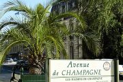 Champagne Avenue de Champagne à Epernay