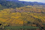 Alsace les villages sertis par la vigne 1024x684