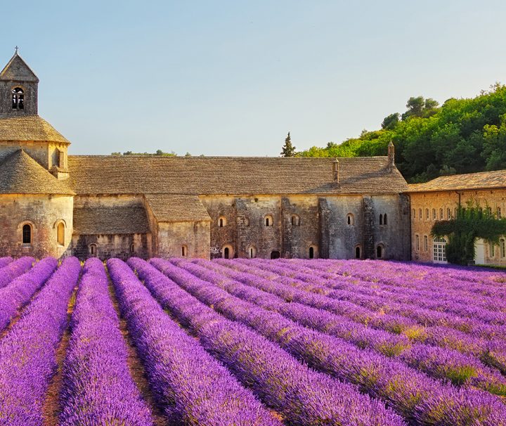 couleurs saveurs provence nice marseille