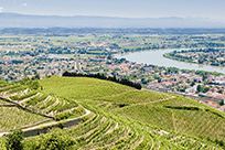 The Rhône Valley